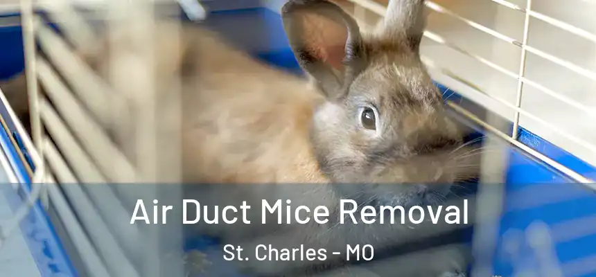 Air Duct Mice Removal St. Charles - MO