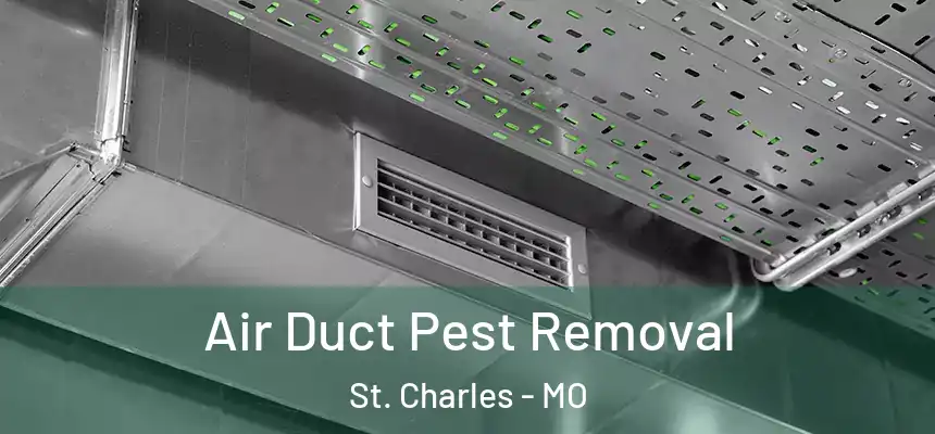 Air Duct Pest Removal St. Charles - MO