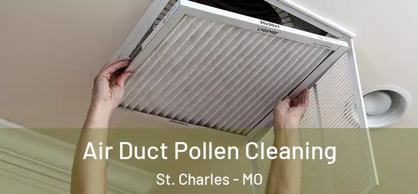 Air Duct Pollen Cleaning St. Charles - MO