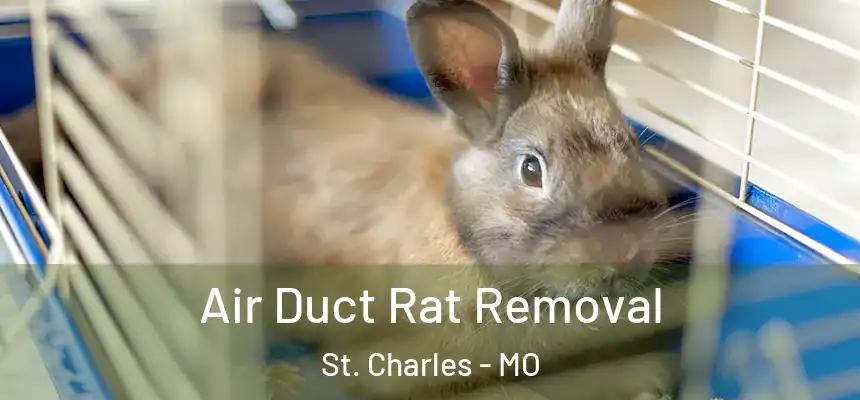 Air Duct Rat Removal St. Charles - MO