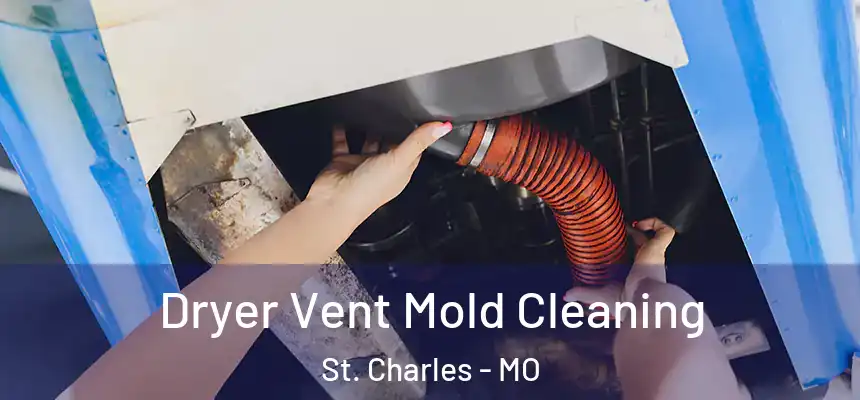 Dryer Vent Mold Cleaning St. Charles - MO