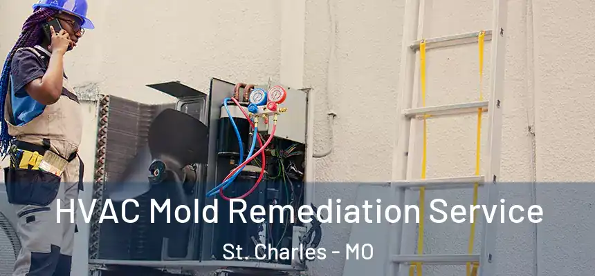 HVAC Mold Remediation Service St. Charles - MO