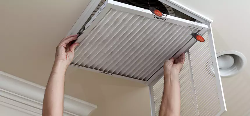Our Insect Removal from Air Ducts Services in St. Charles, MO