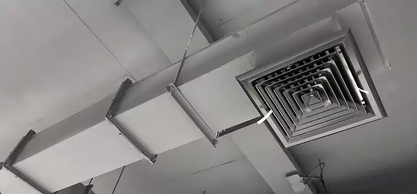 Our Rodent Droppings In Vents Services in St. Charles, MO