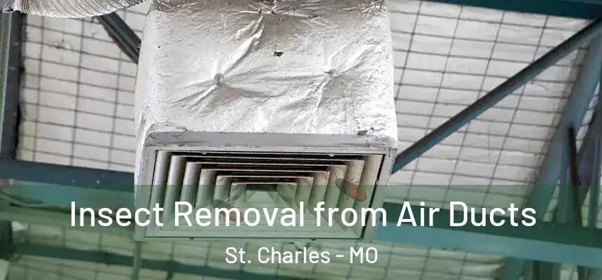 Insect Removal from Air Ducts St. Charles - MO