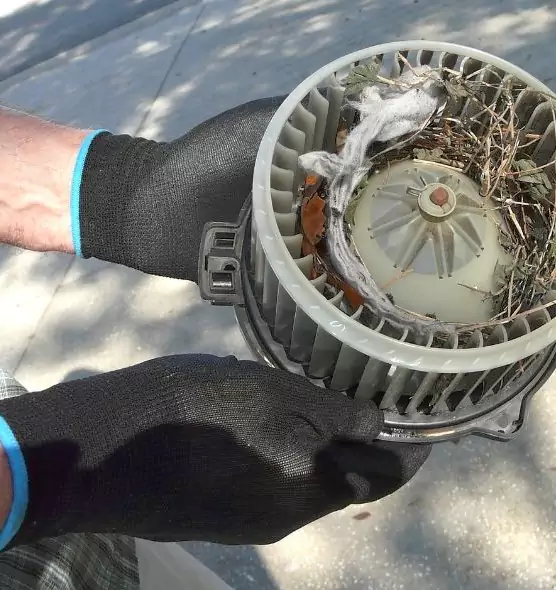 About Air Duct Mice Removal in St. Charles, MO