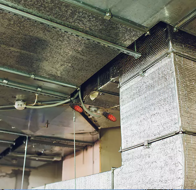 Why Homeowners & Businesses Trust Us in St. Charles, MO?