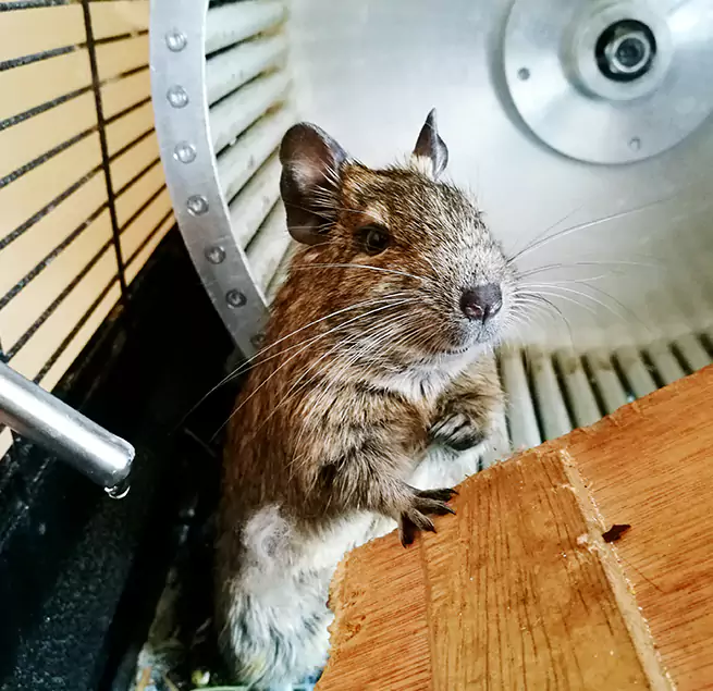 Why Homeowners & Businesses Trust Us St. Charles, MO